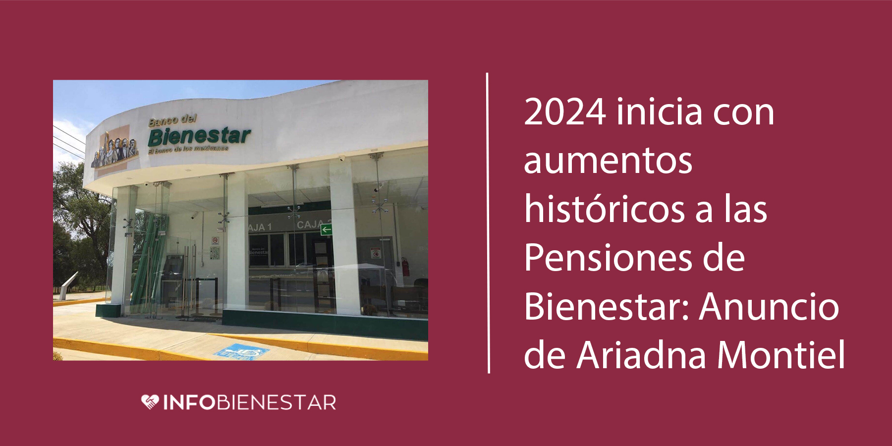 cuanto es el apoyo de bienestar para discapacitados
