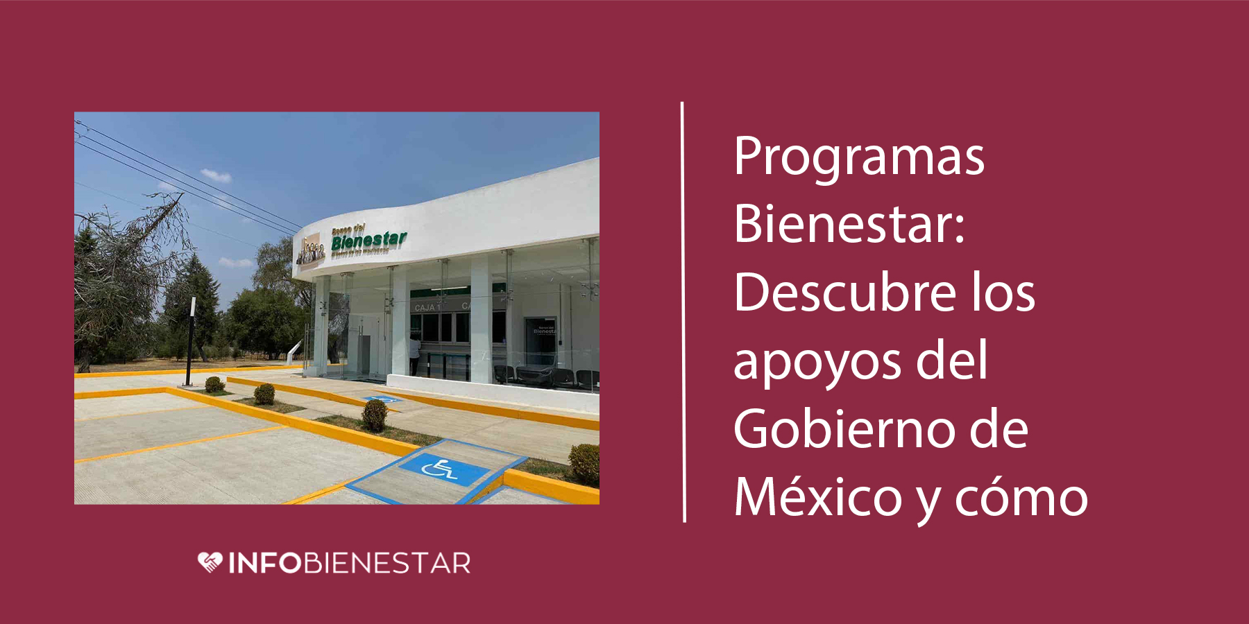 cuales son los apoyos de bienestar
