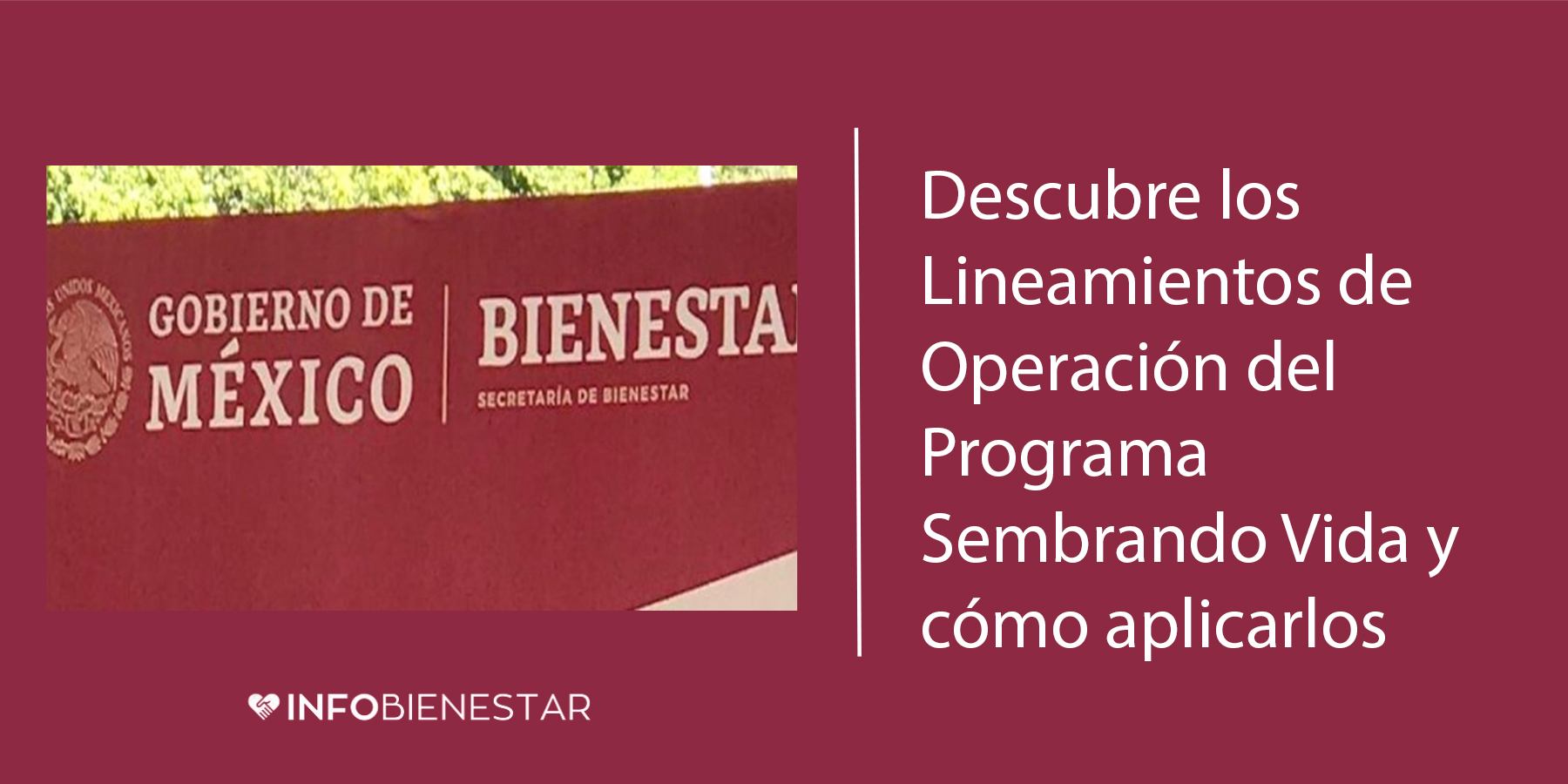 programa sembrando vida lineamientos