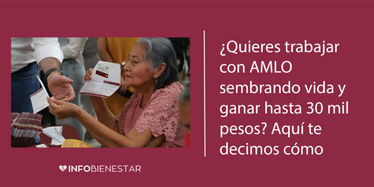 convocatoria para trabajar en el programa sembrando vida