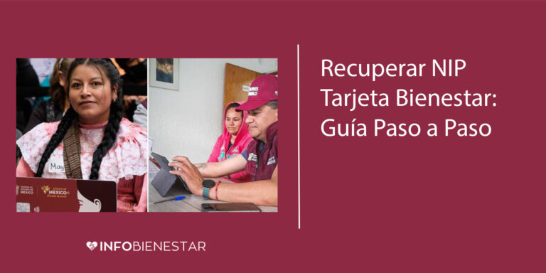 nip tarjeta bienestar