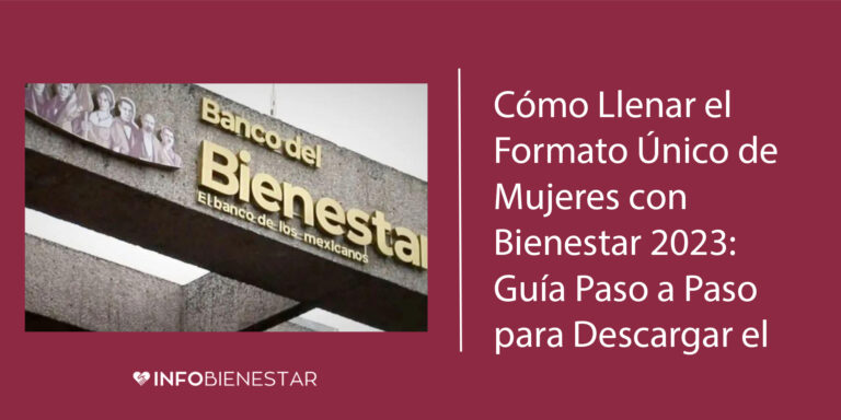 cual es el formato fub de mujeres con bienestar