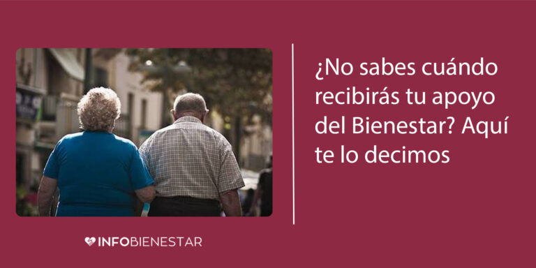 checar tarjeta bienestar con curp adultos mayores